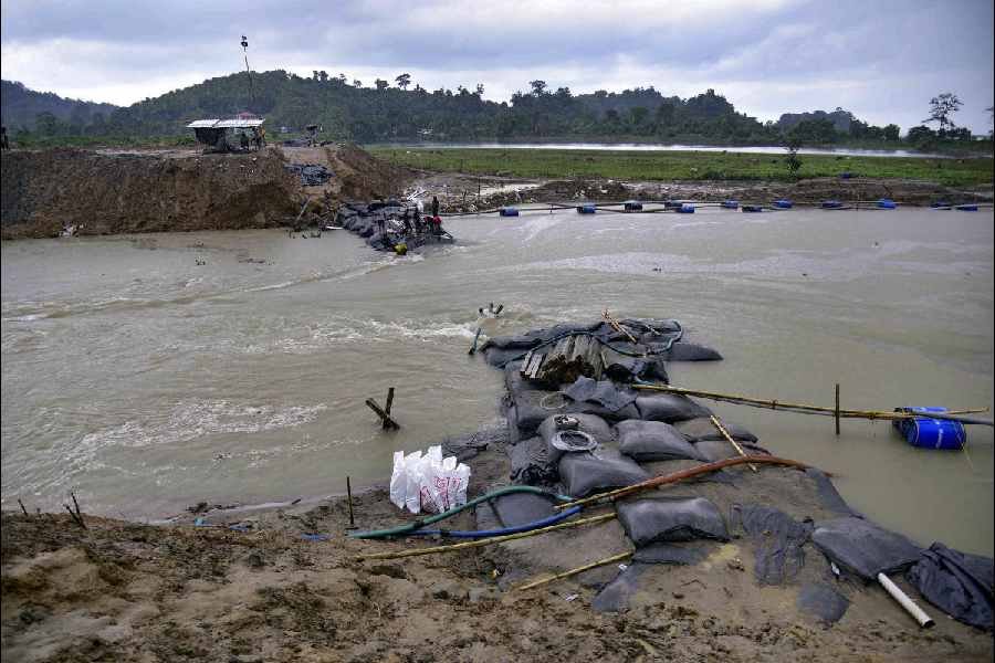 Assam flood situation continues to improve; water receding fast