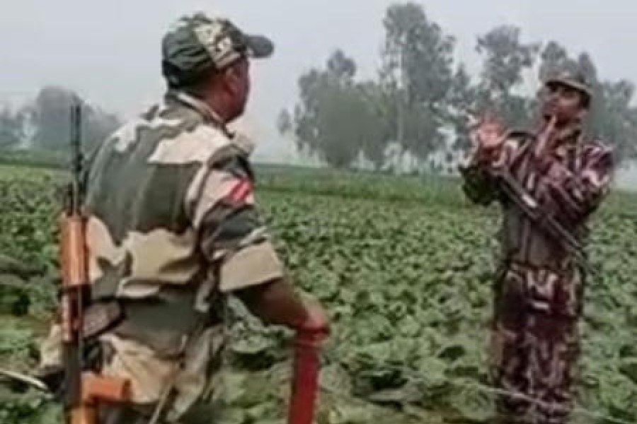 Bamboo poles bolster for barbed wire fencing to prevent illegal activities at Indo-Bangladesh border