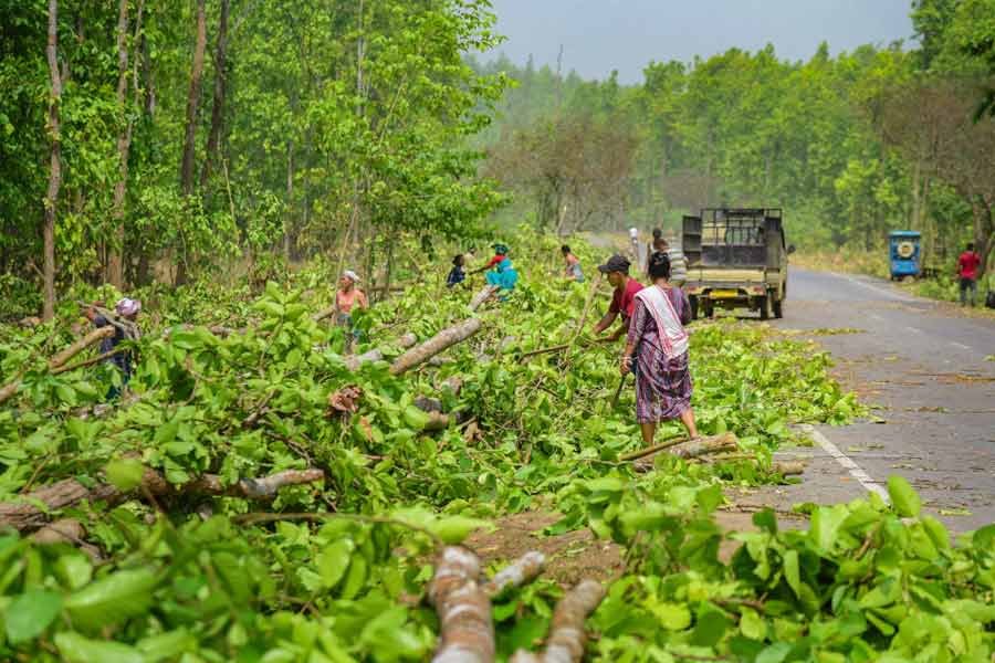 Assam to denotify three Proposed Reserve Forests in Tinsukia, granting land rights to over 20,000 people